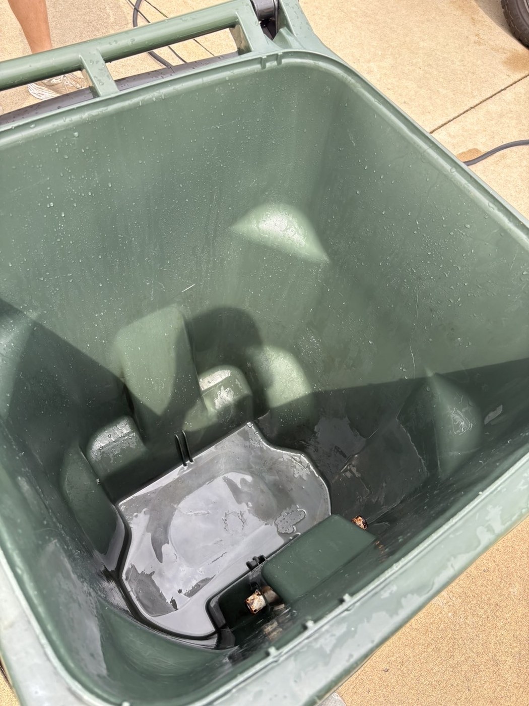 Clean grey trash bin interior after cleaning